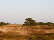 Hiddensee