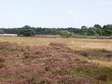 Hiddensee