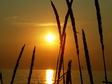 Hiddensee