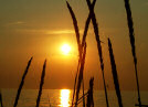 Hiddensee Sonne